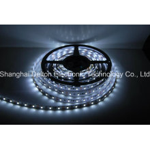 CE homologué Constant Current SMD2835 Flexible LED Strip Light